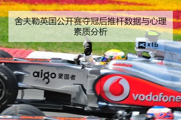 she-fu-lei-ying-guo-gong-kai-sai-duo-guan-hou-tui-gan-shu-ju-yu-xin-li-su-zhi-fen-xi-3-711.jpg
